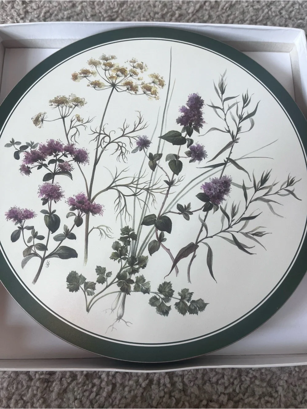 Vintage Cottagecore English Life Botanical Wildflower Placemats Set of 6